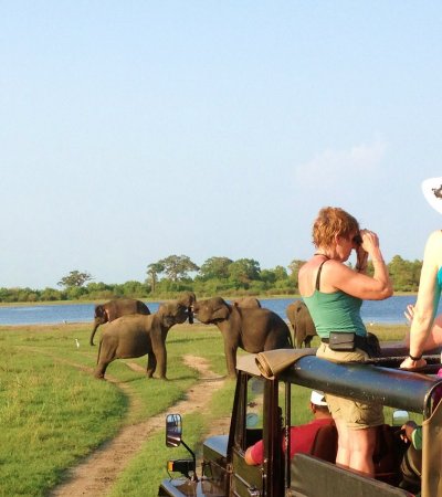 yala safari